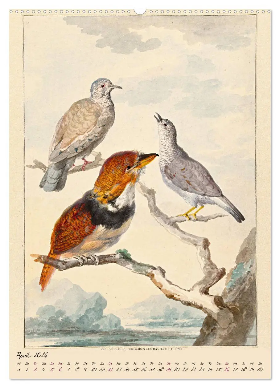 Bild: 9783516392685 | Aert Schouman. VÖGEL (Wandkalender 2026 DIN A2 hoch), CALVENDO...