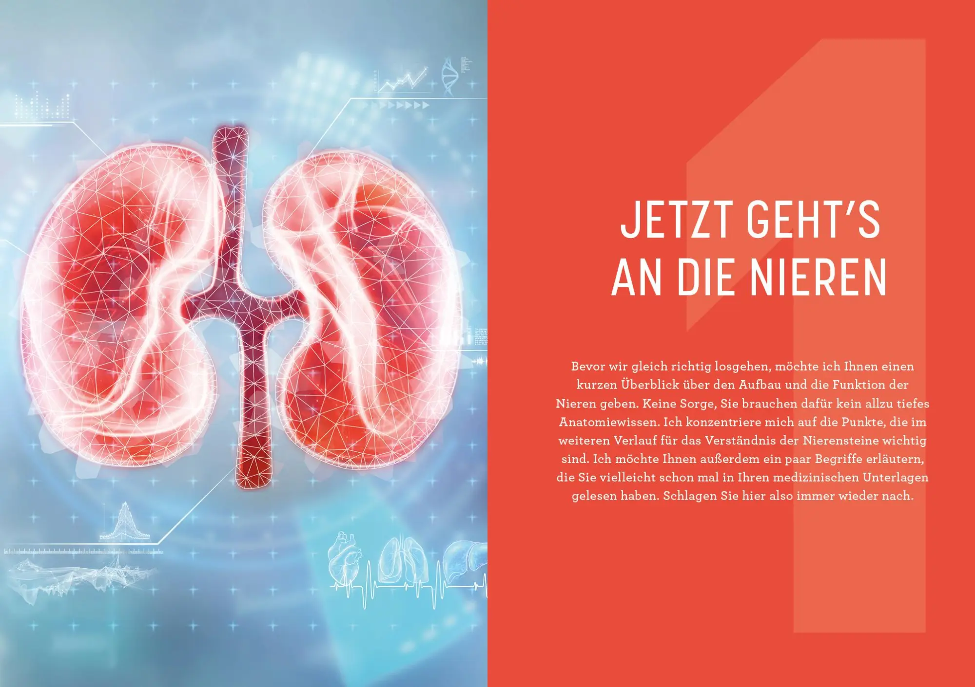 Bild: 9783742322685 | Nierensteine - Ursachen erkennen, richtig behandeln, Rückfälle...