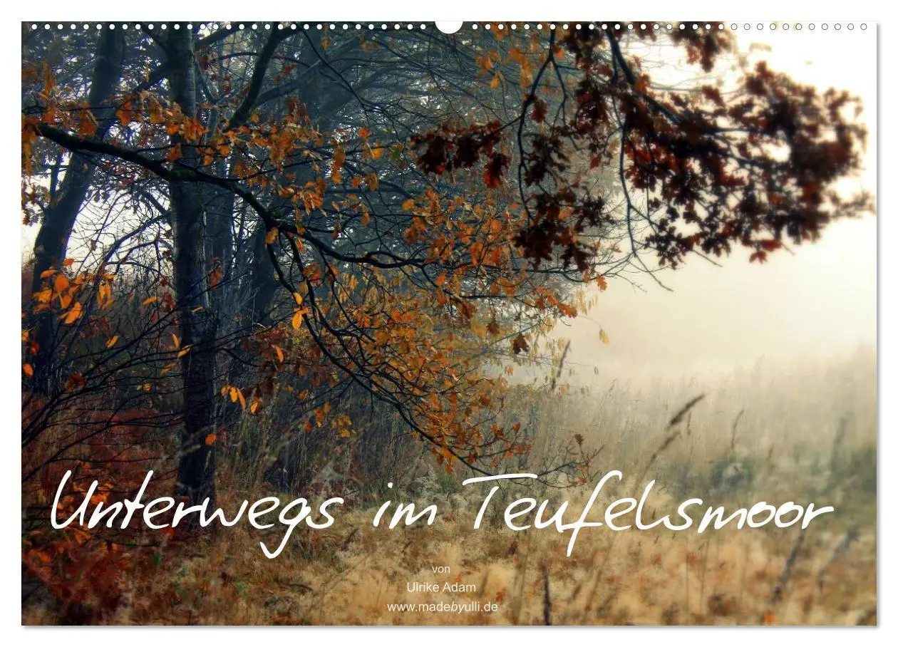Cover: 9783516072785 | Unterwegs im Teufelsmoor (Wandkalender 2026 DIN A2 quer), CALVENDO...