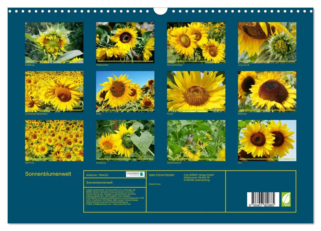 Bild: 9783457802885 | Sonnenblumenwelt (Wandkalender 2026 DIN A3 quer), CALVENDO...