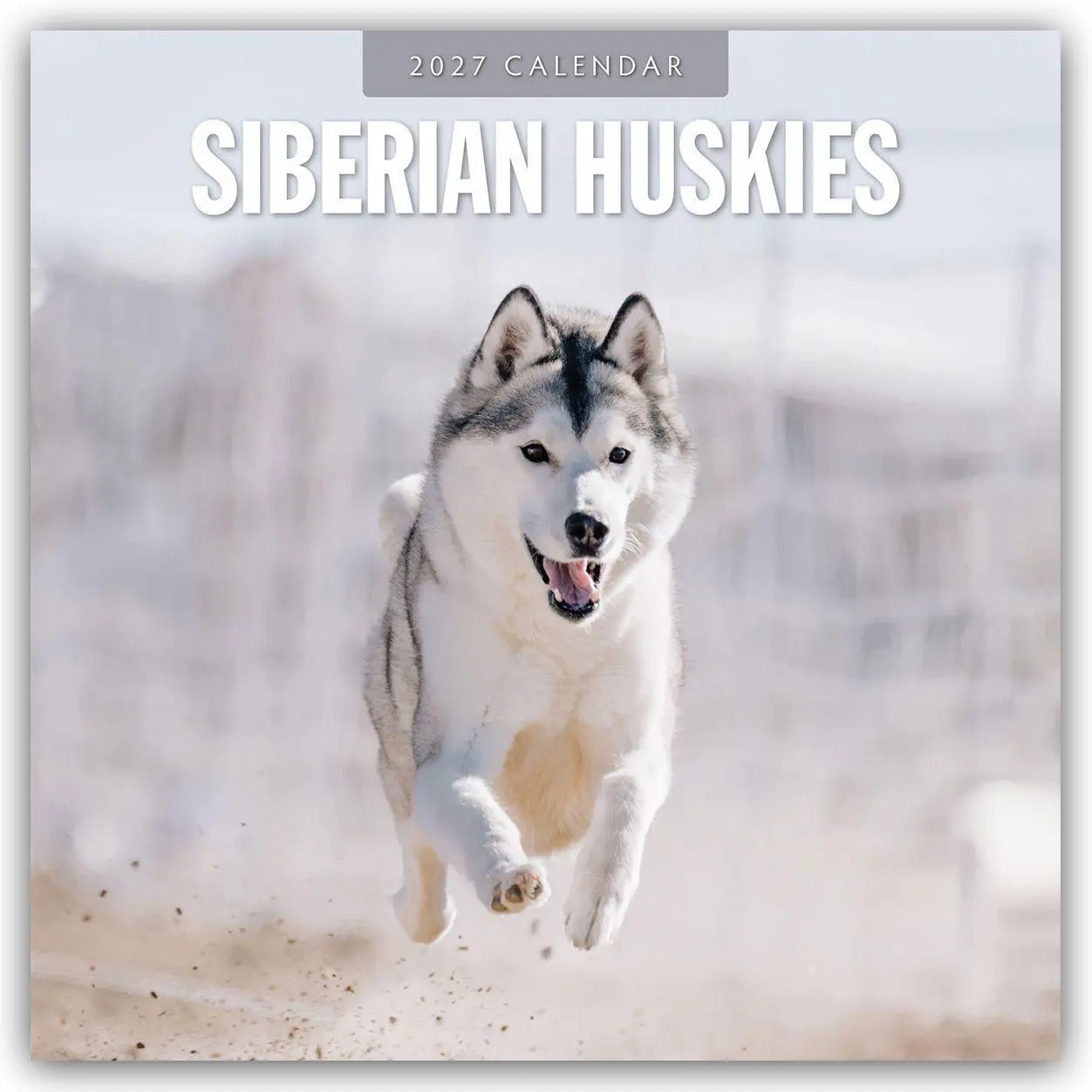 Cover: 9781837012985 | Siberian Huskies - Sibirischer Husky - Sibirische Huskys 2027 -...