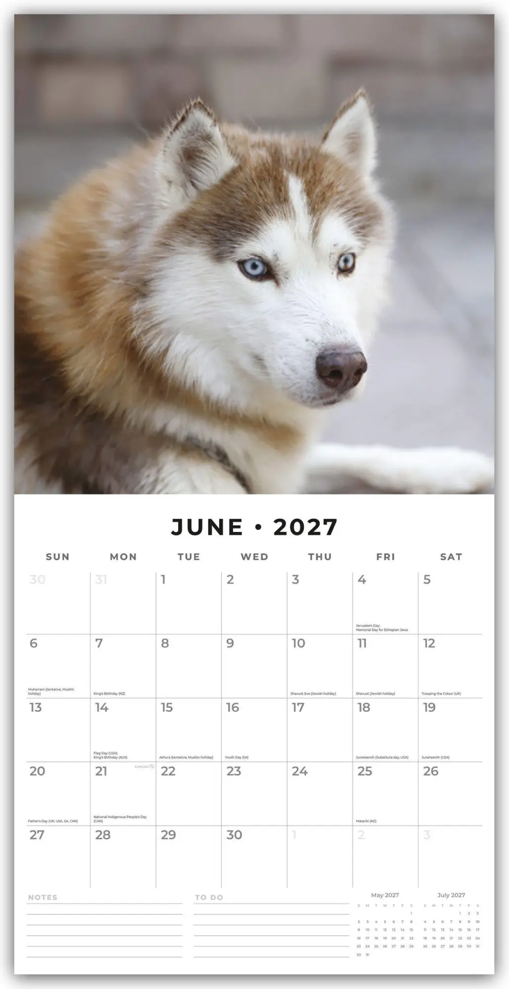 Bild: 9781837012985 | Siberian Huskies - Sibirischer Husky - Sibirische Huskys 2027 -...