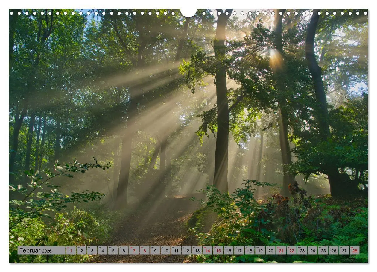 Bild: 9783457342985 | Streifzug durch Ostwestfalen (Wandkalender 2026 DIN A3 quer),...