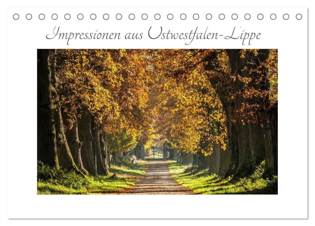 Cover: 9783457722985 | Impressionen aus Ostwestfalen-Lippe (Tischkalender 2026 DIN A5...