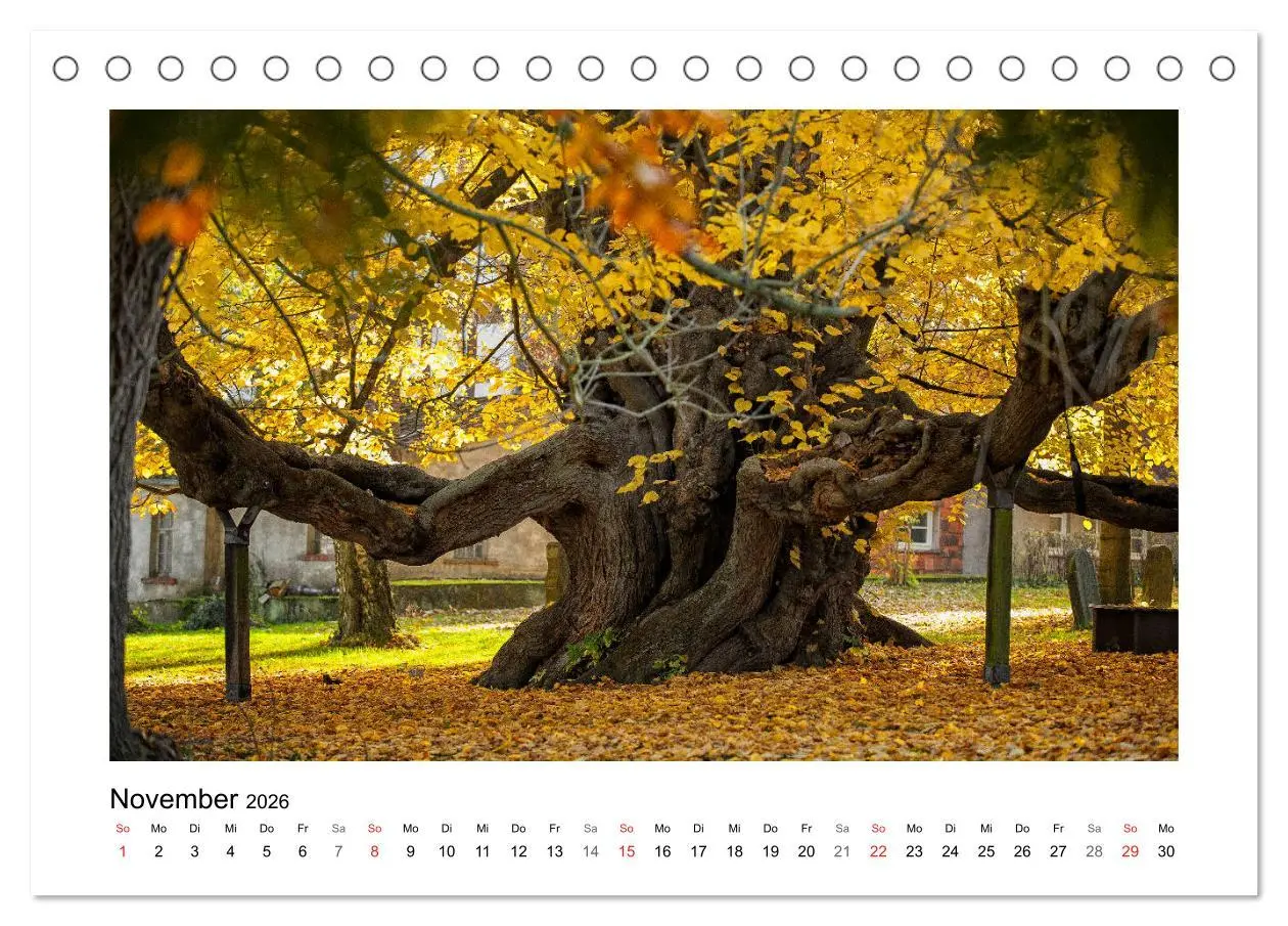 Bild: 9783457722985 | Impressionen aus Ostwestfalen-Lippe (Tischkalender 2026 DIN A5...