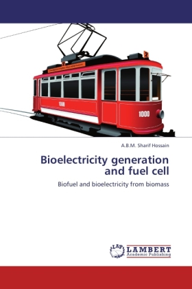 Bioelectricity generation and fuel cell | Biofuel and bioelectricity from biomass | A.B.M. Sharif Hossain | Taschenbuch | Englisch | LAP Lambert Academic Publishing | EAN 9783847332985 - Hossain, A.B.M. Sharif