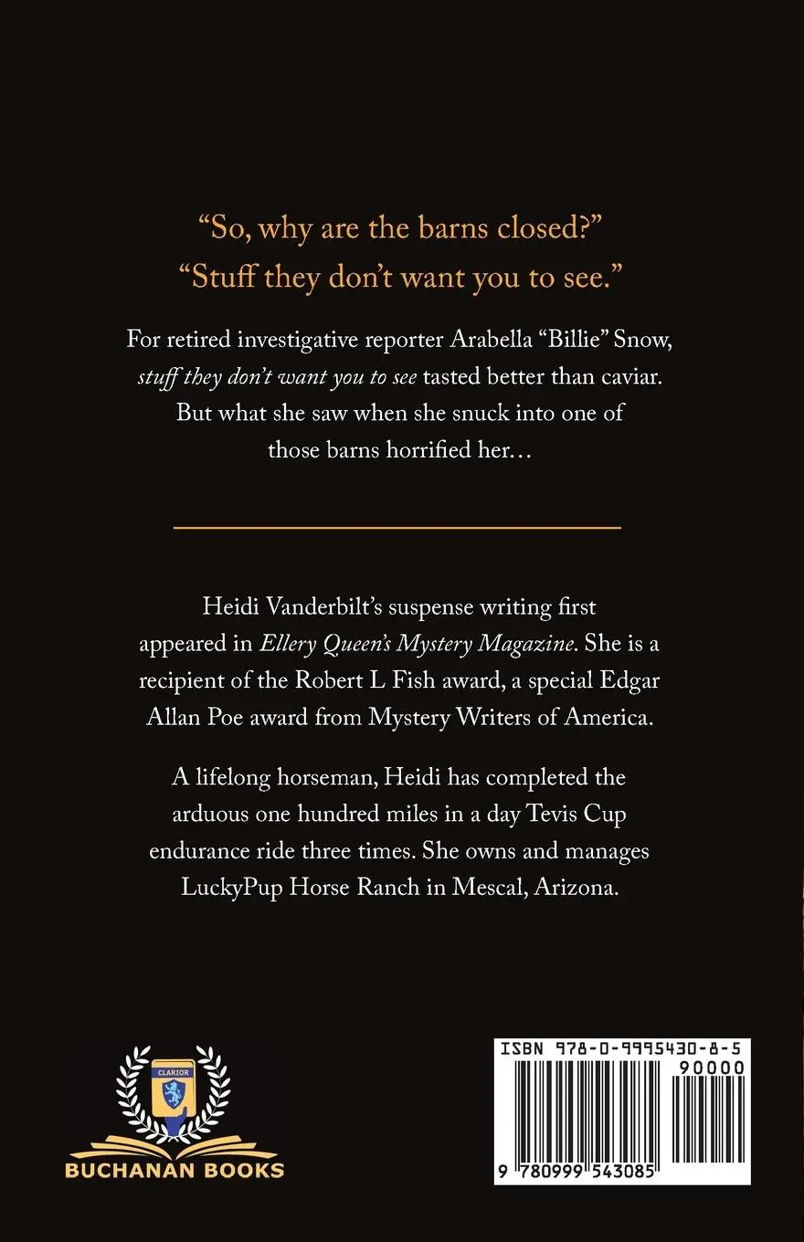Rückseite: 9780999543085 | The Scar Rule | Heidi Vanderbilt | Taschenbuch | Englisch | 2020