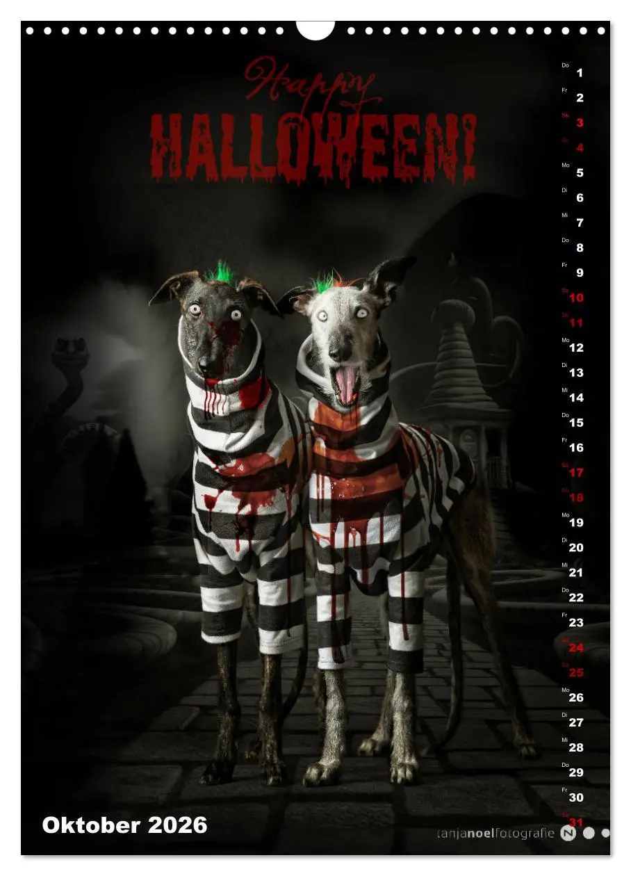 Bild: 9783457303085 | dogmuse deluxe (Wandkalender 2026 DIN A3 hoch), CALVENDO...