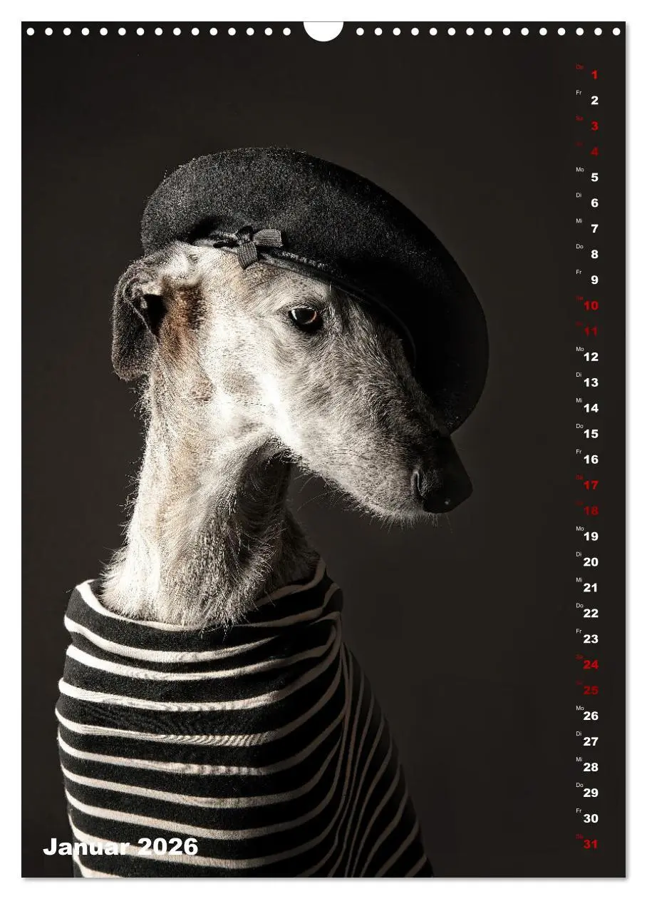Bild: 9783457303085 | dogmuse deluxe (Wandkalender 2026 DIN A3 hoch), CALVENDO...