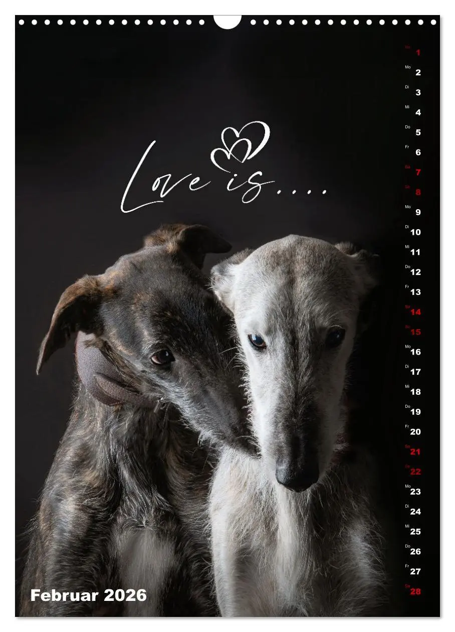 Bild: 9783457303085 | dogmuse deluxe (Wandkalender 2026 DIN A3 hoch), CALVENDO...