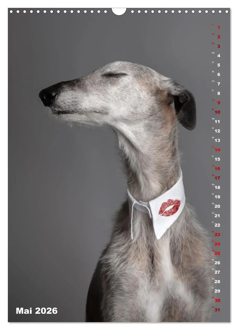 Bild: 9783457303085 | dogmuse deluxe (Wandkalender 2026 DIN A3 hoch), CALVENDO...