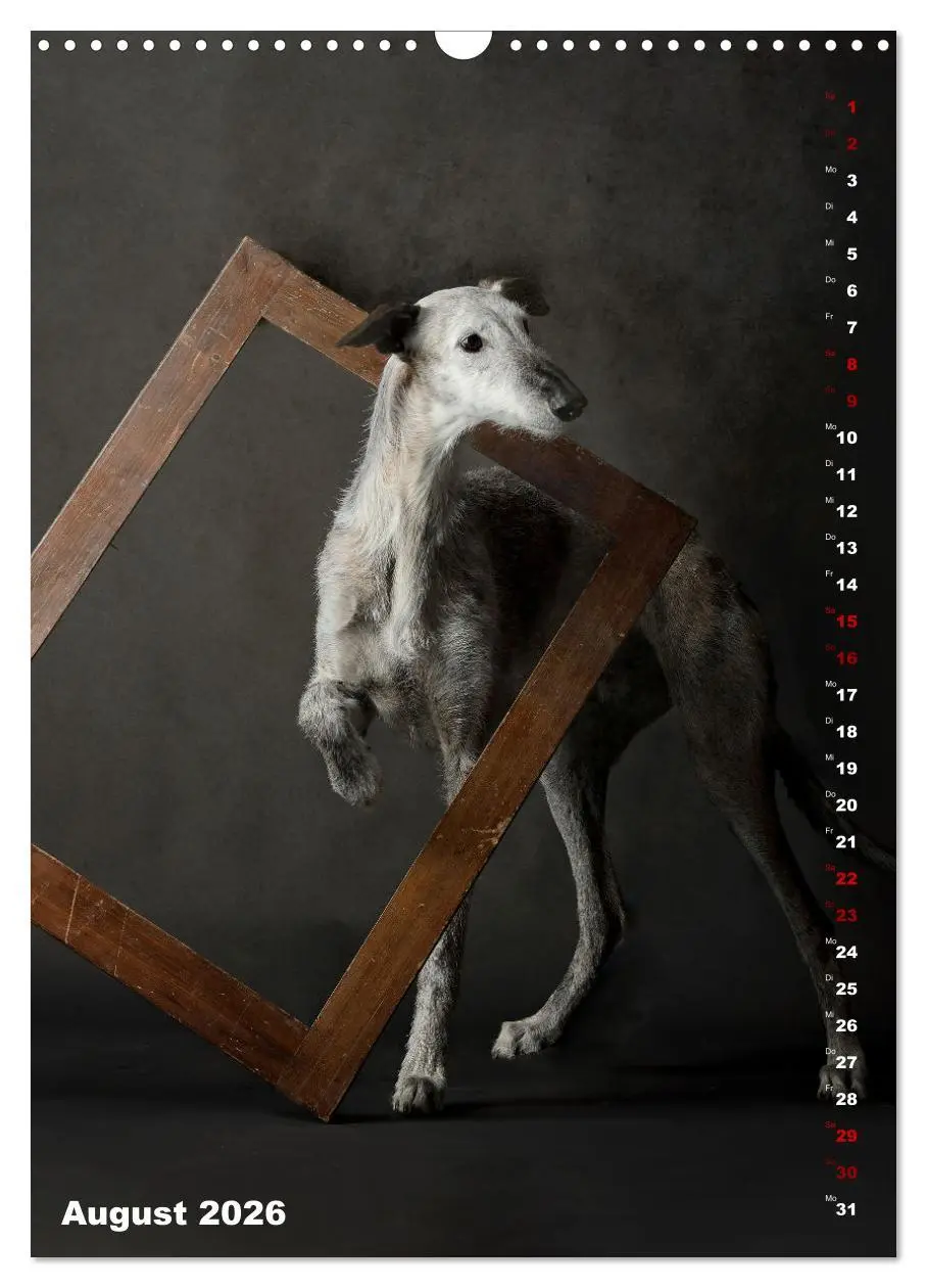 Bild: 9783457303085 | dogmuse deluxe (Wandkalender 2026 DIN A3 hoch), CALVENDO...