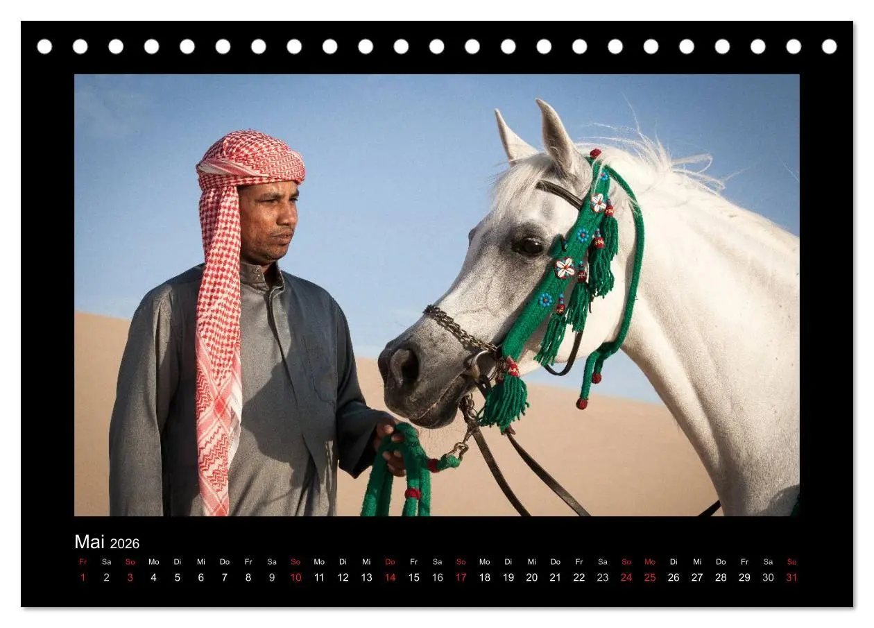 Bild: 9783516183085 | Vollblutaraber (Tischkalender 2026 DIN A5 quer), CALVENDO...