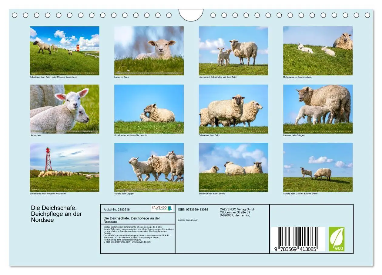Bild: 9783569413085 | Die Deichschafe. Deichpflege an der Nordsee (Wandkalender 2027 DIN...