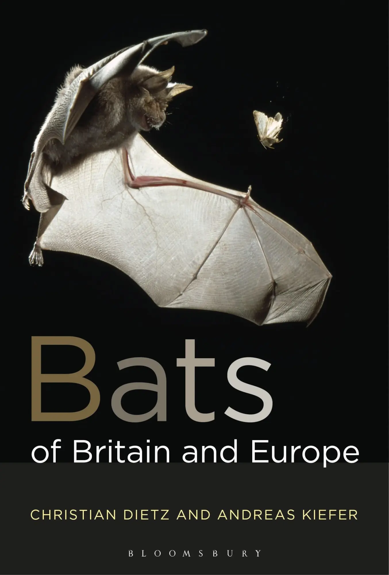 Cover: 9781472963185 | Bats of Britain and Europe | Andreas Kiefer (u. a.) | Taschenbuch
