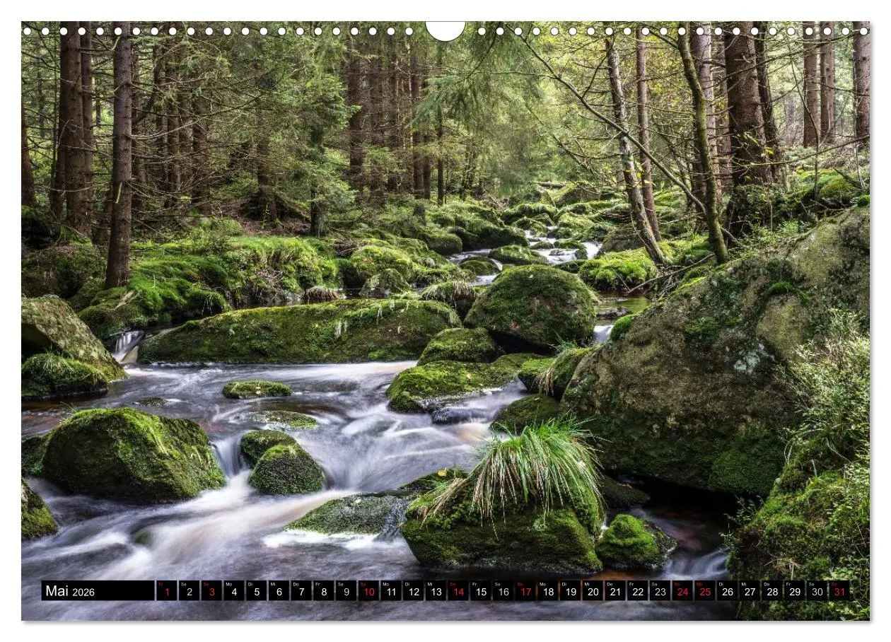 Bild: 9783516003185 | Der Harz einfach magisch (Wandkalender 2026 DIN A3 quer), CALVENDO...