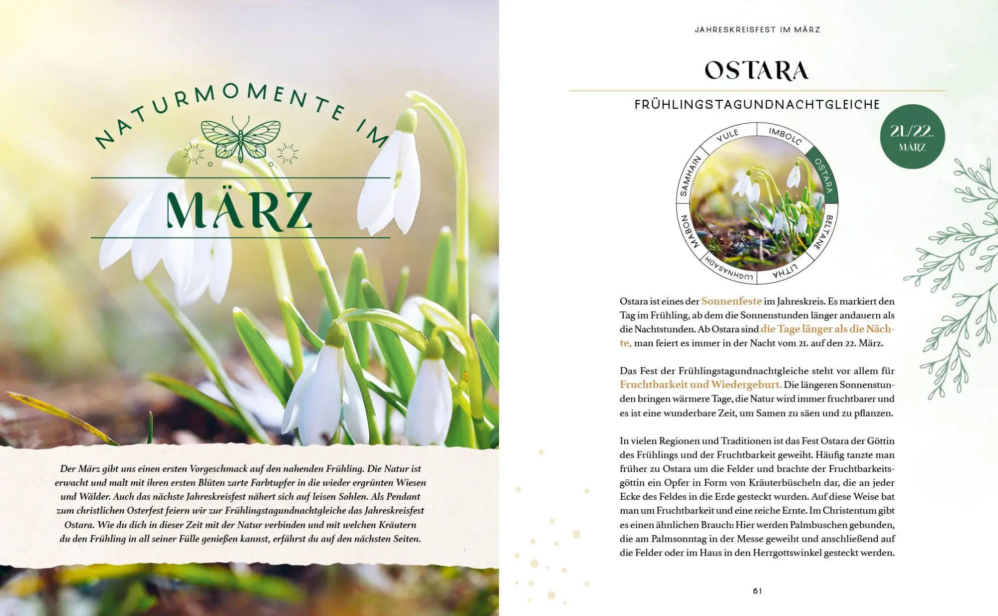 Bild: 9783745933185 | Zaubernuss und Waldmagie - Naturmomente für deine Seele | Strassmair