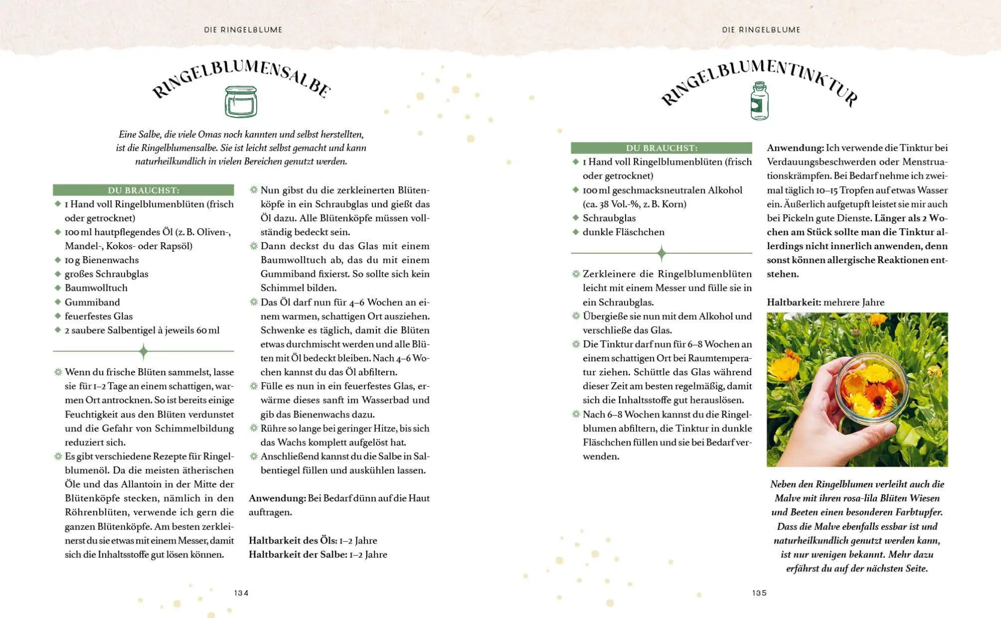 Bild: 9783745933185 | Zaubernuss und Waldmagie - Naturmomente für deine Seele | Strassmair