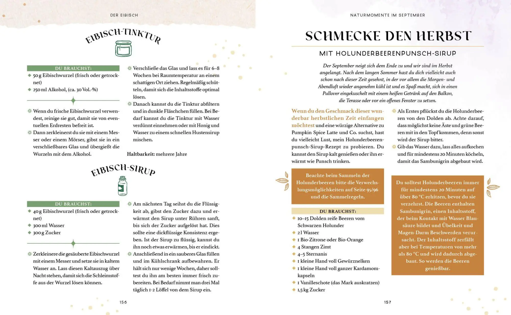 Bild: 9783745933185 | Zaubernuss und Waldmagie - Naturmomente für deine Seele | Strassmair