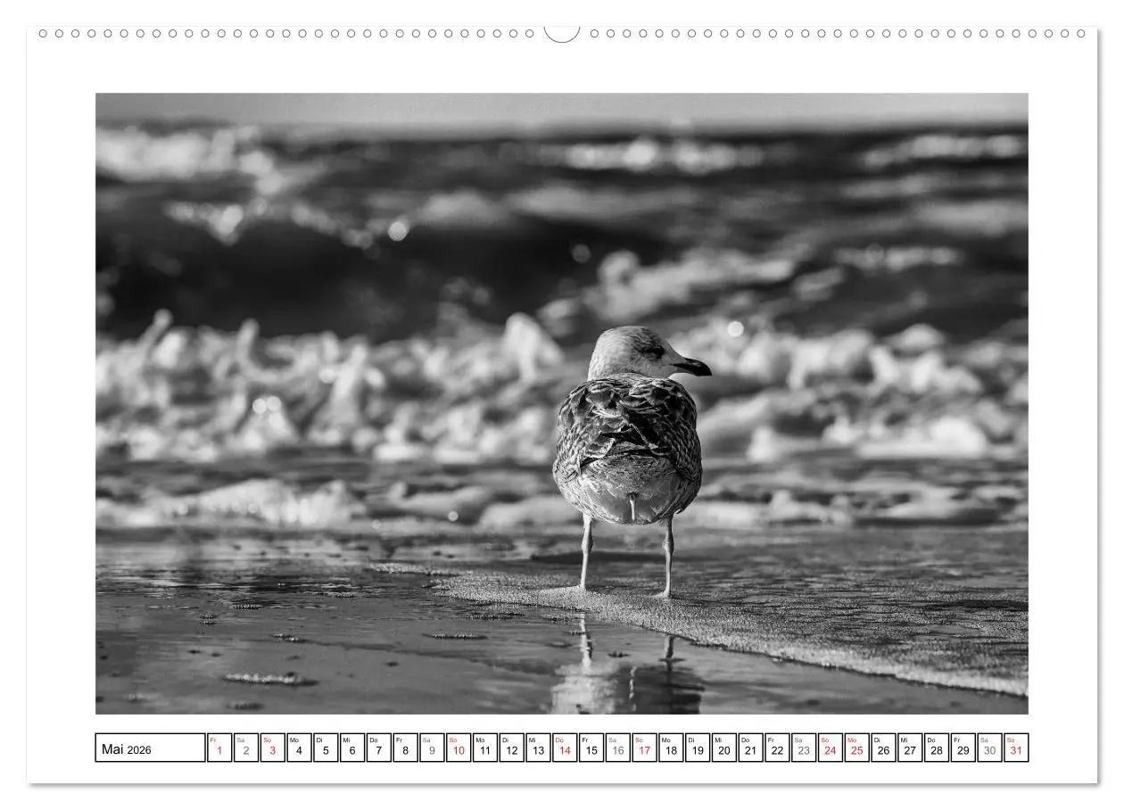 Bild: 9783516093285 | Am Strand von St. Peter-Ording SCHWARZ-WEISS (Wandkalender 2026 DIN...