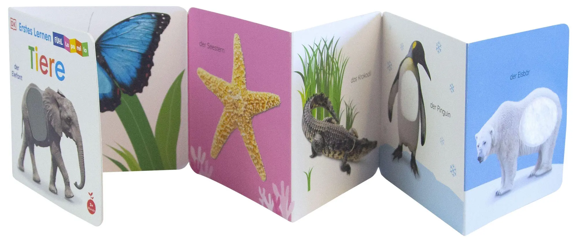 Bild: 9783831053285 | Erstes Lernen Fühl-Leporello. Tiere | DK Erstes Lernen | Buch | 12 S.
