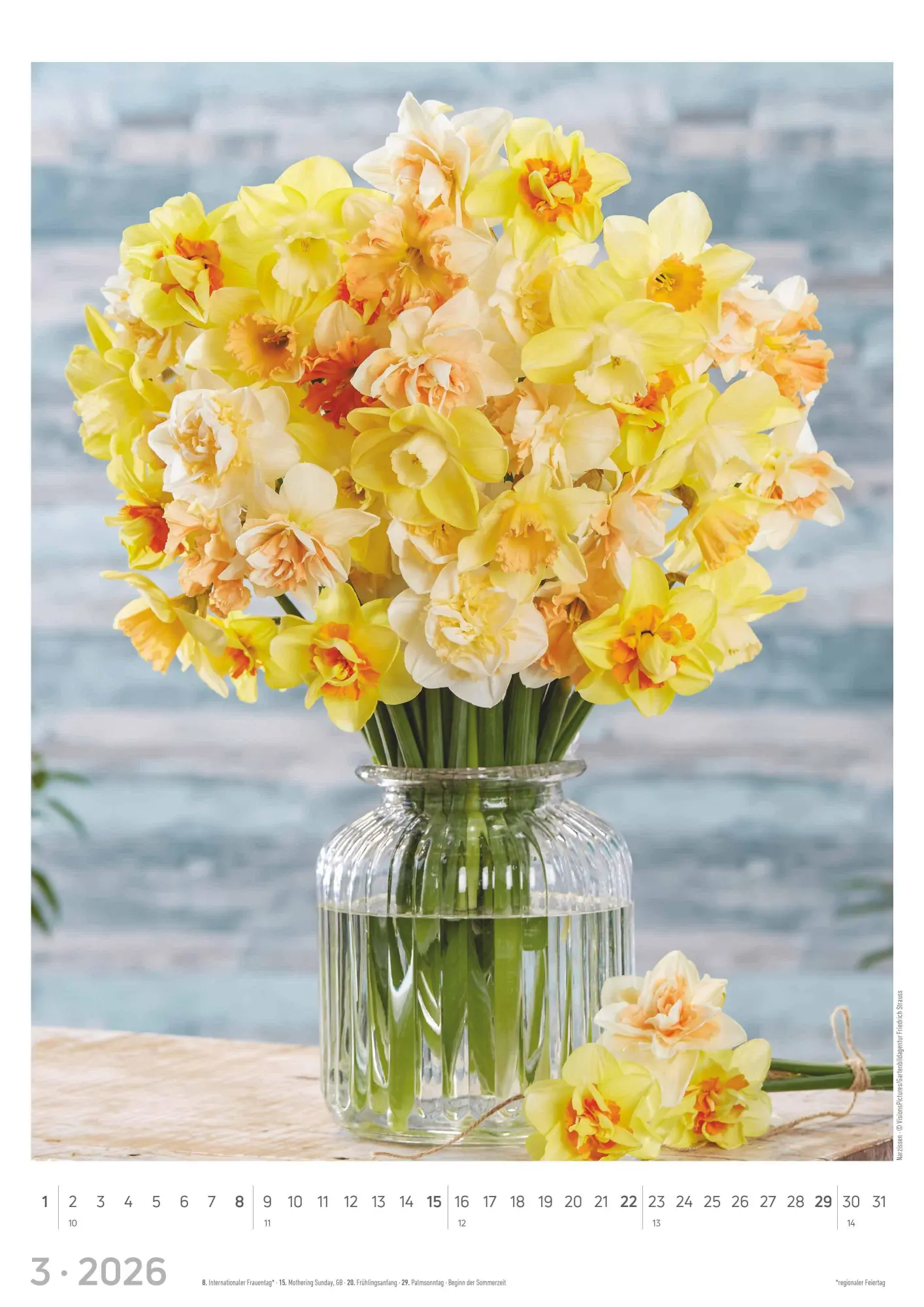 Bild: 4069095003385 | Blumen 2026 - Bildkalender A3 (29,7x42 cm) - Flowers - mit...