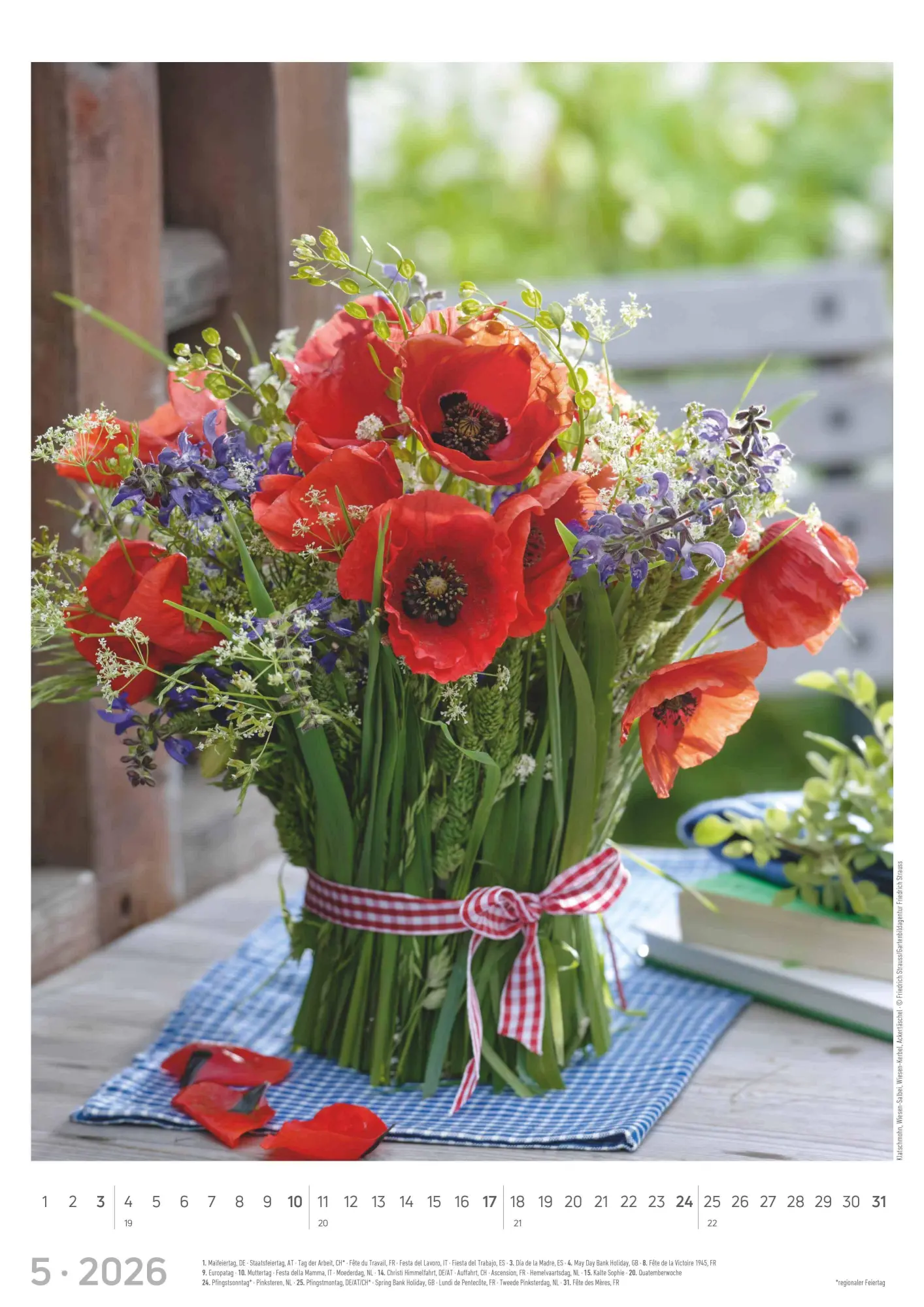 Bild: 4069095003385 | Blumen 2026 - Bildkalender A3 (29,7x42 cm) - Flowers - mit...