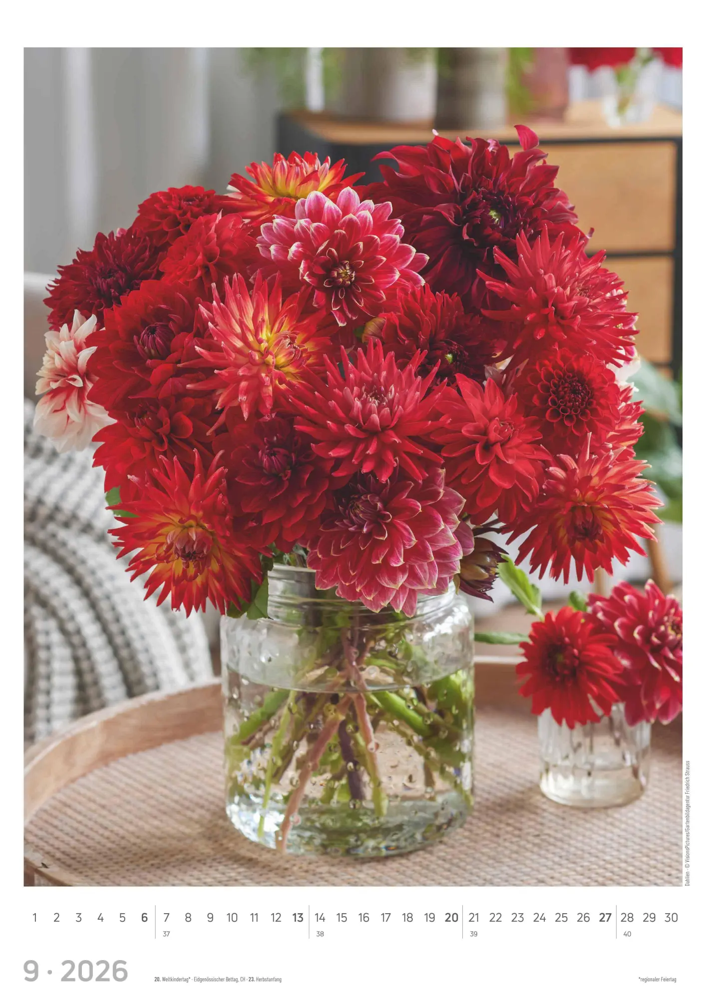 Bild: 4069095003385 | Blumen 2026 - Bildkalender A3 (29,7x42 cm) - Flowers - mit...
