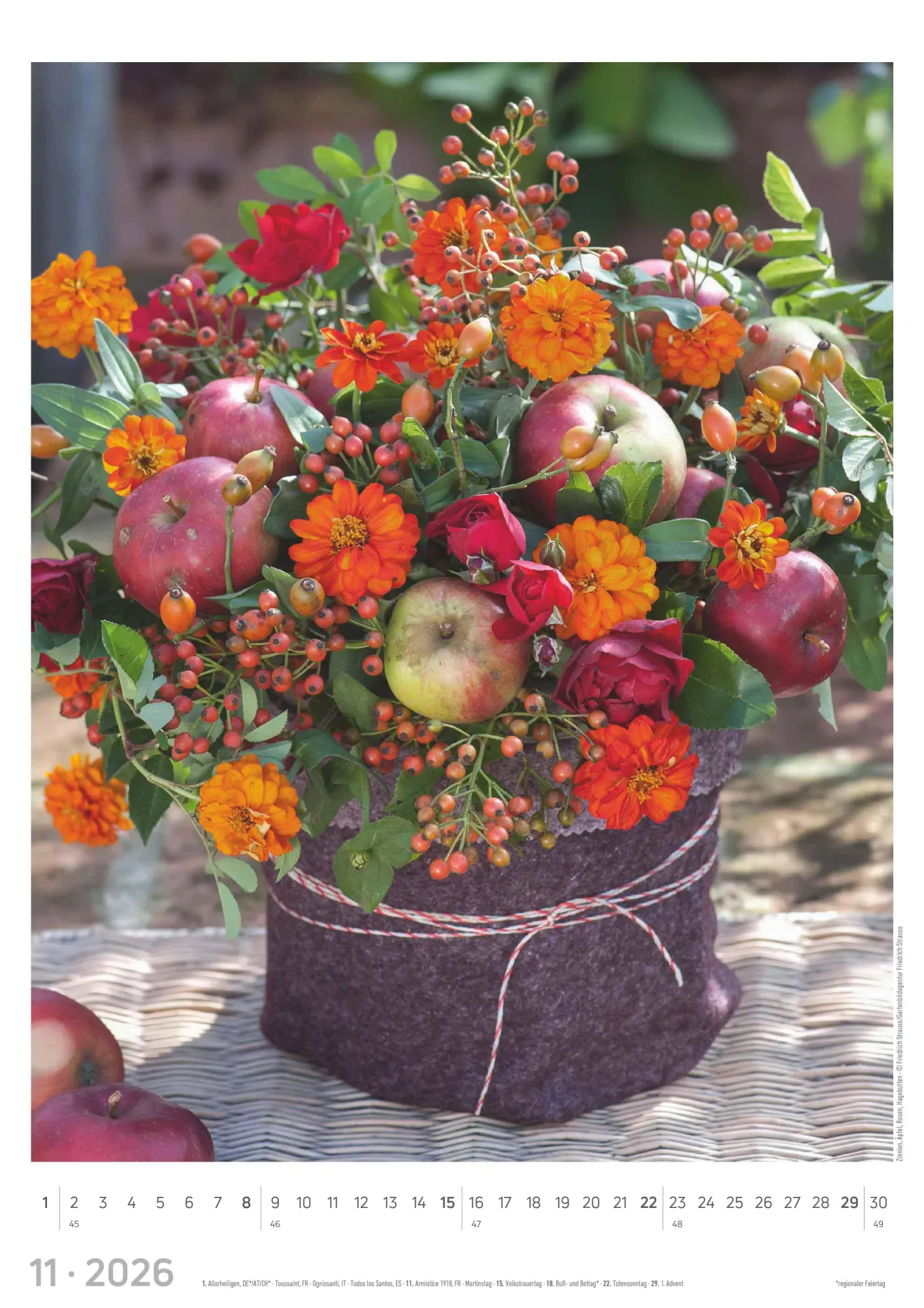Bild: 4069095003385 | Blumen 2026 - Bildkalender A3 (29,7x42 cm) - Flowers - mit...