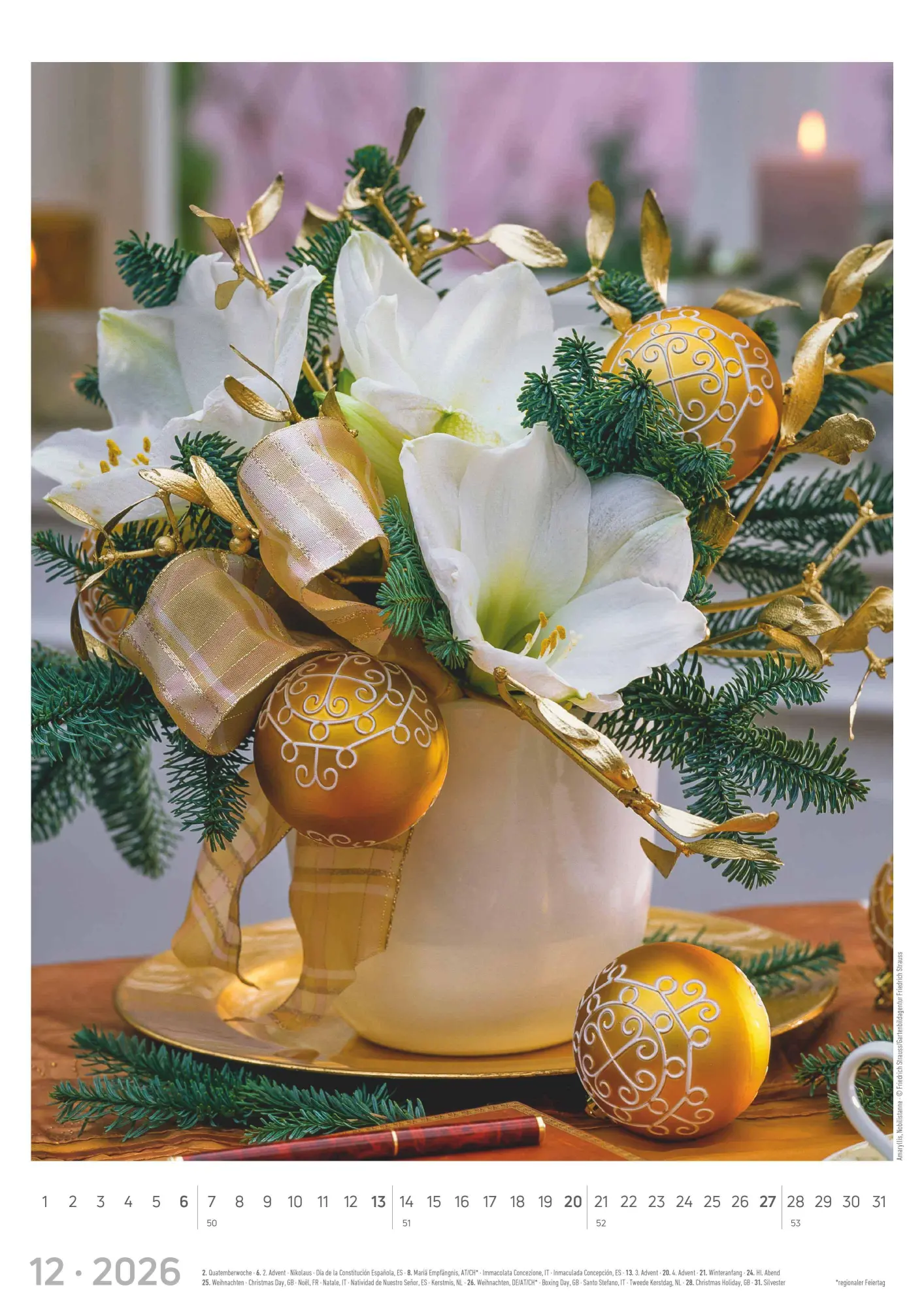 Bild: 4069095003385 | Blumen 2026 - Bildkalender A3 (29,7x42 cm) - Flowers - mit...