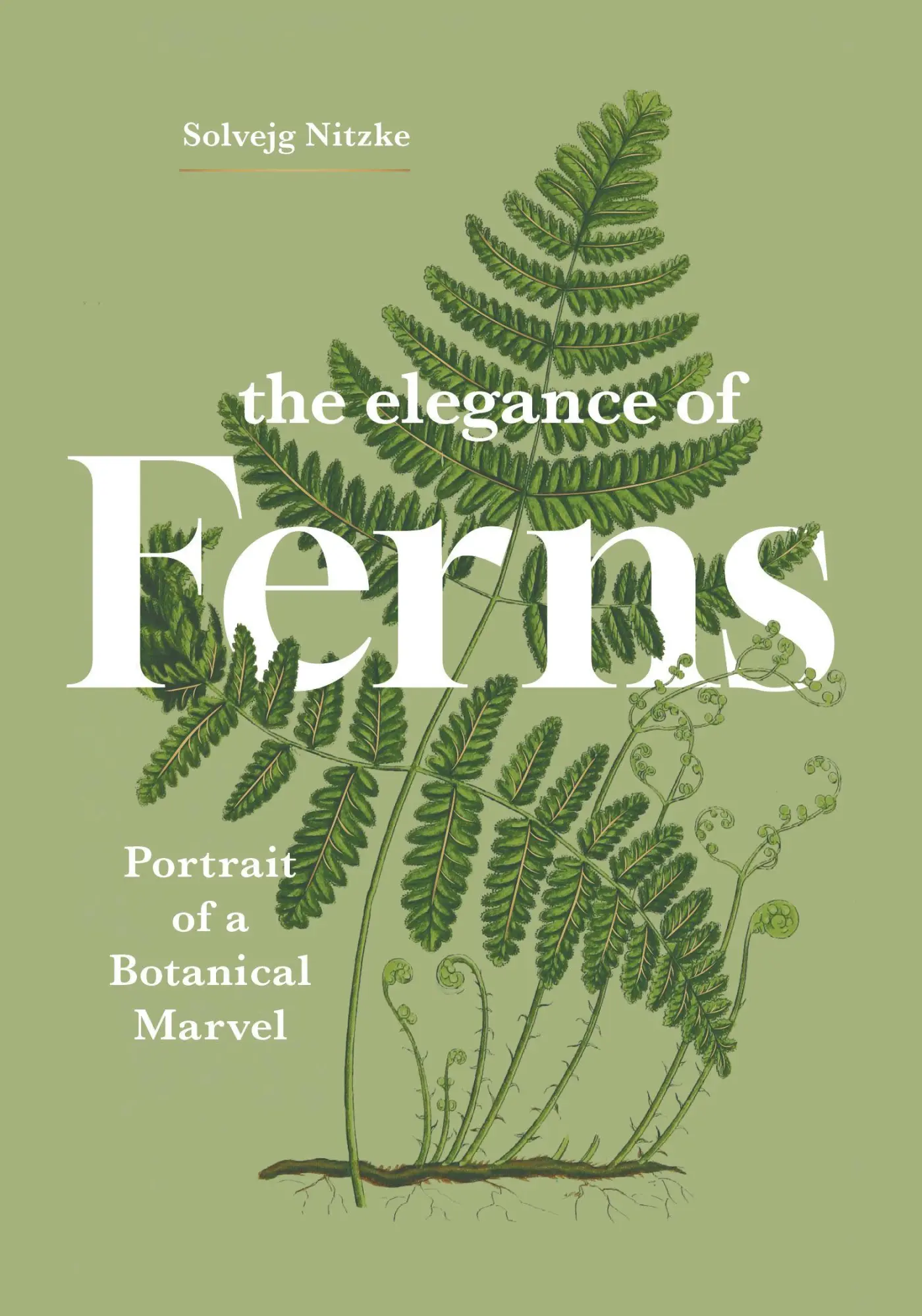 Cover: 9781778403385 | The Elegance of Ferns | Portrait of a Botanical Marvel | Nitzke | Buch
