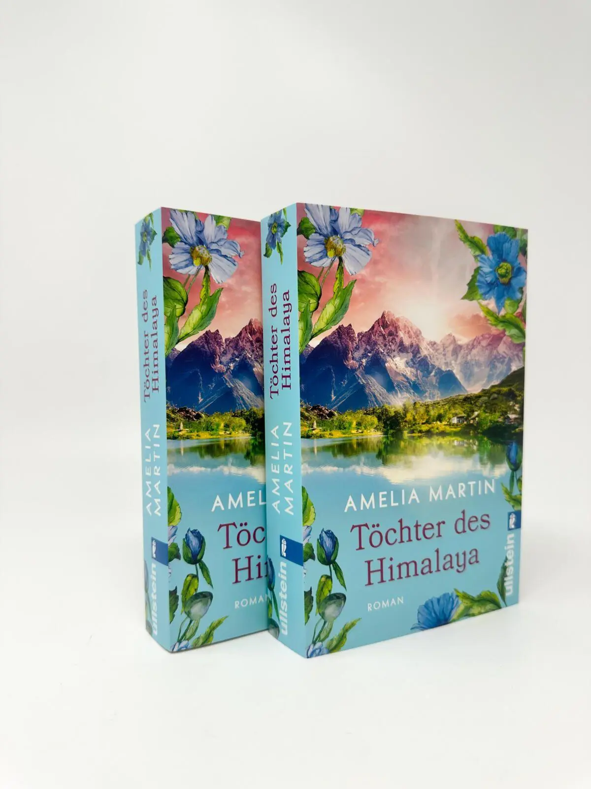 Bild: 9783548073385 | Töchter des Himalaya | Roman | Amelia Martin | Taschenbuch | 496 S.