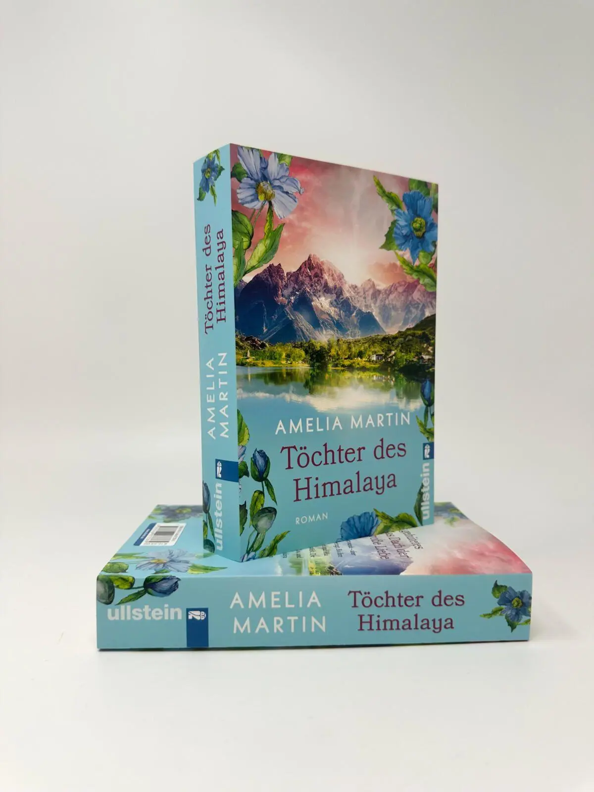 Bild: 9783548073385 | Töchter des Himalaya | Roman | Amelia Martin | Taschenbuch | 496 S.
