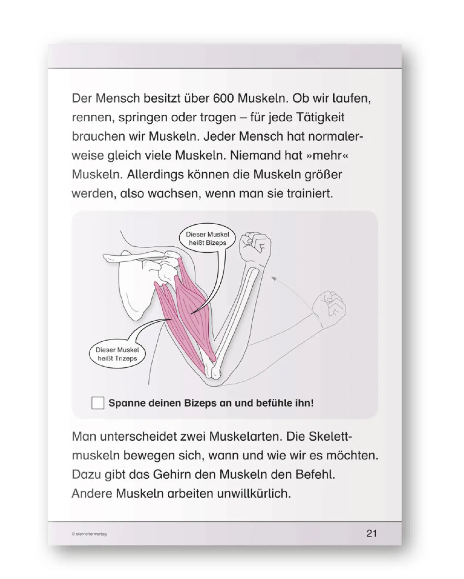 Bild: 9783939293385 | Ich kenne meinen Körper - 3 Hefte im Kombi | Katrin Langhans | Buch