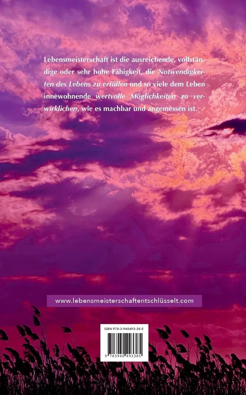 Rückseite: 9783940493385 | Lebensmeisterschaft entschlüsselt | Ioannis Tzivanakis | Taschenbuch