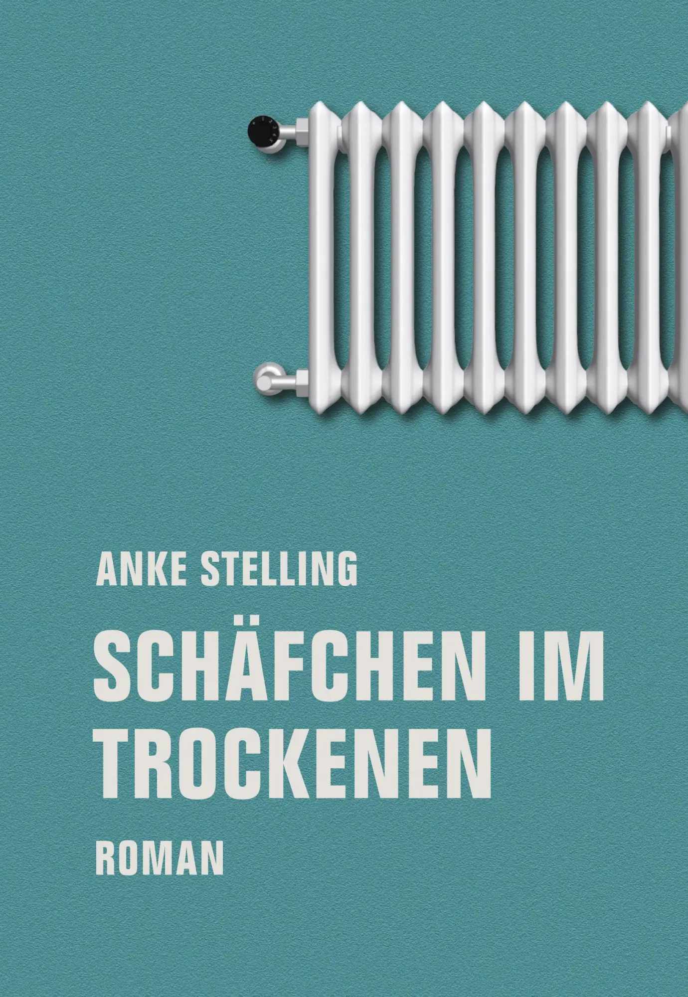 Cover: 9783957323385 | Schäfchen im Trockenen | Anke Stelling | Buch | 276 S. | Deutsch