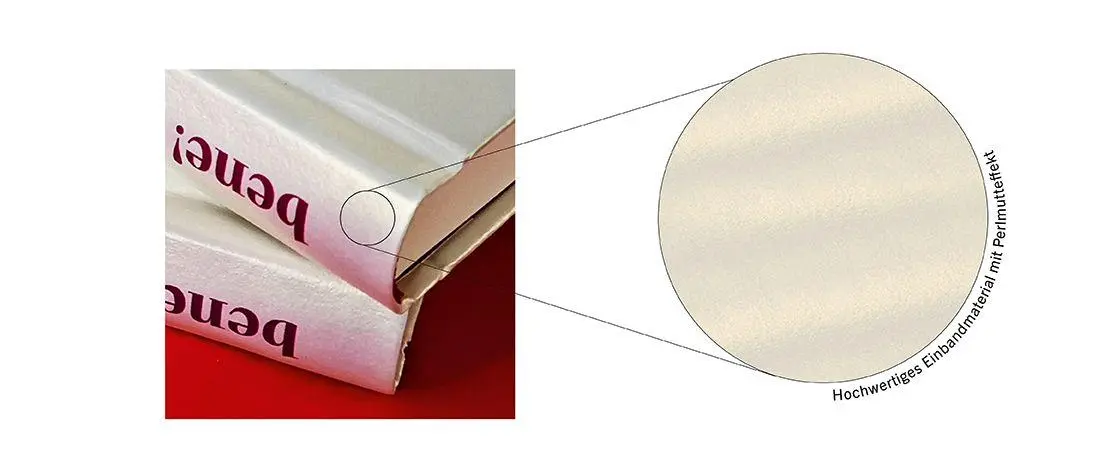 Bild: 9783963403385 | Diese großartigen Tage | Ganz im Moment leben | Titus Müller | Buch