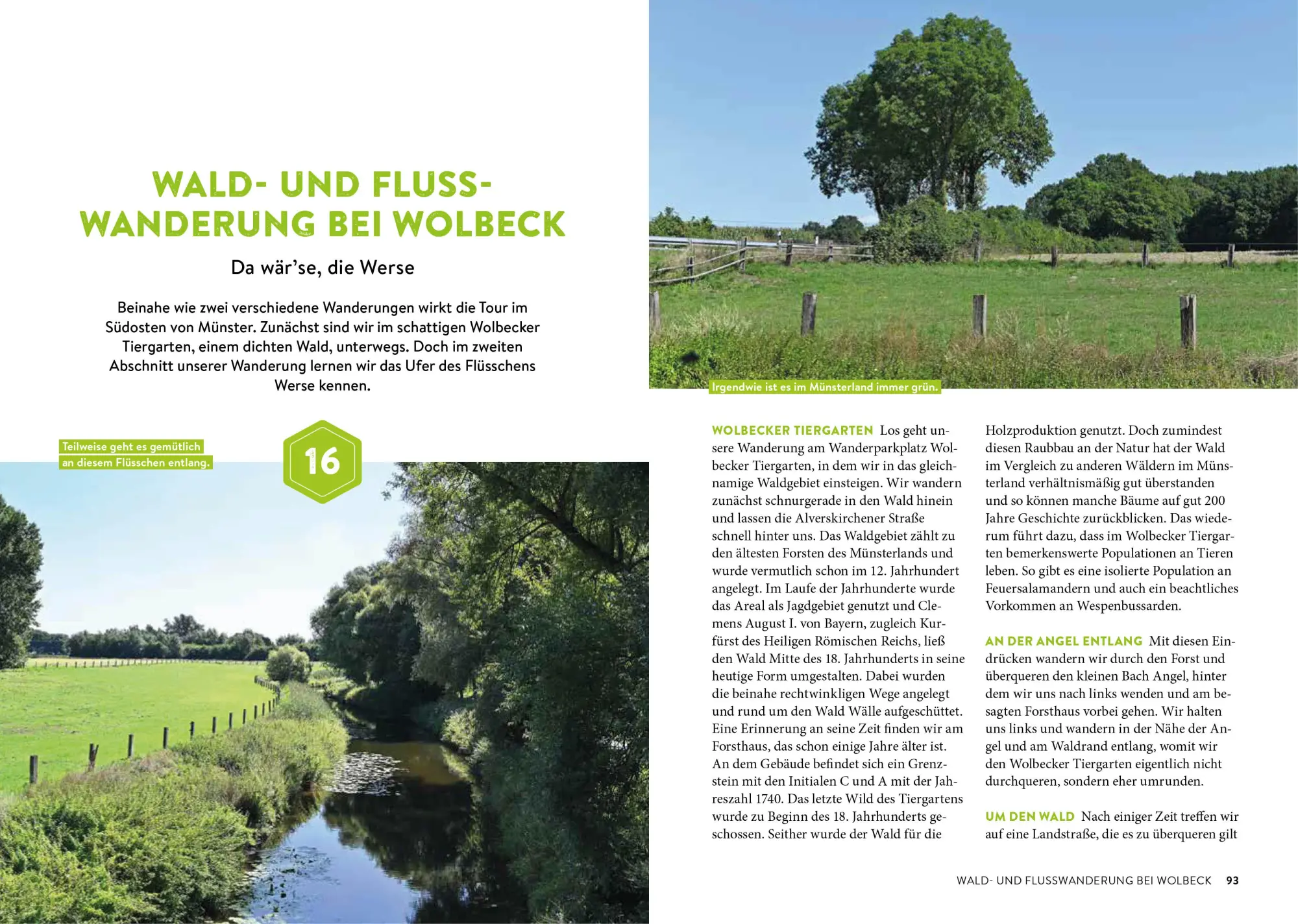 Bild: 9783734323485 | Vergessene Pfade Münsterland | Michael Moll | Taschenbuch | 160 S.