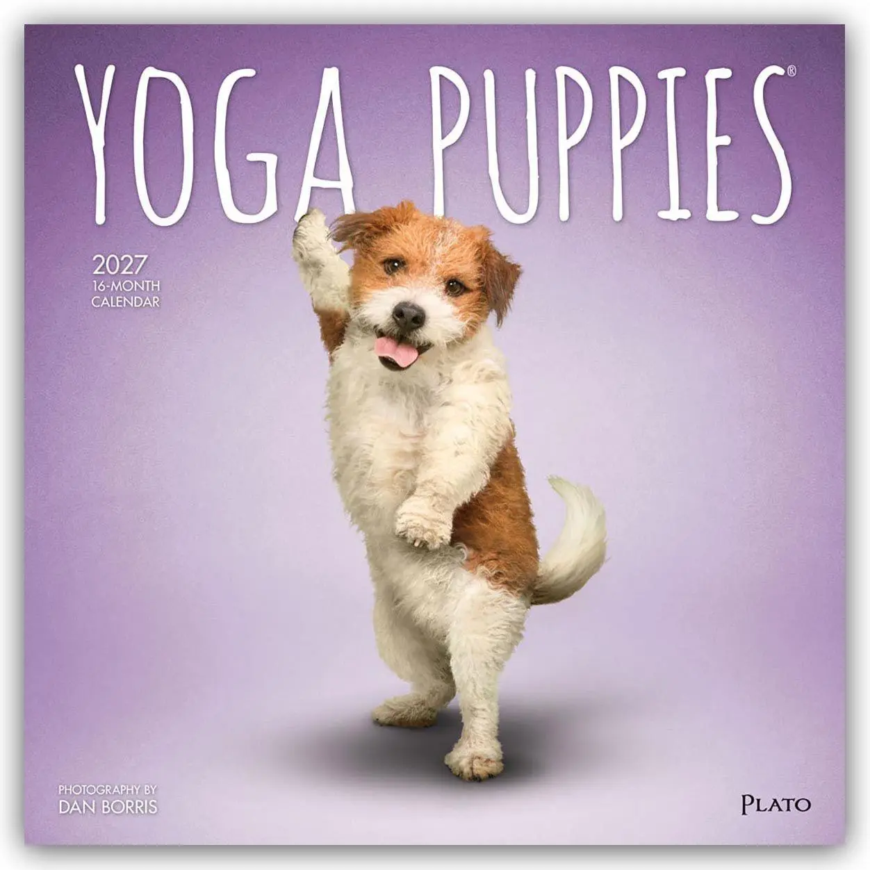 Cover: 9798330713585 | Yoga Puppies - Welpen Yoga 2027 - 16-Monatskalender | Publishers