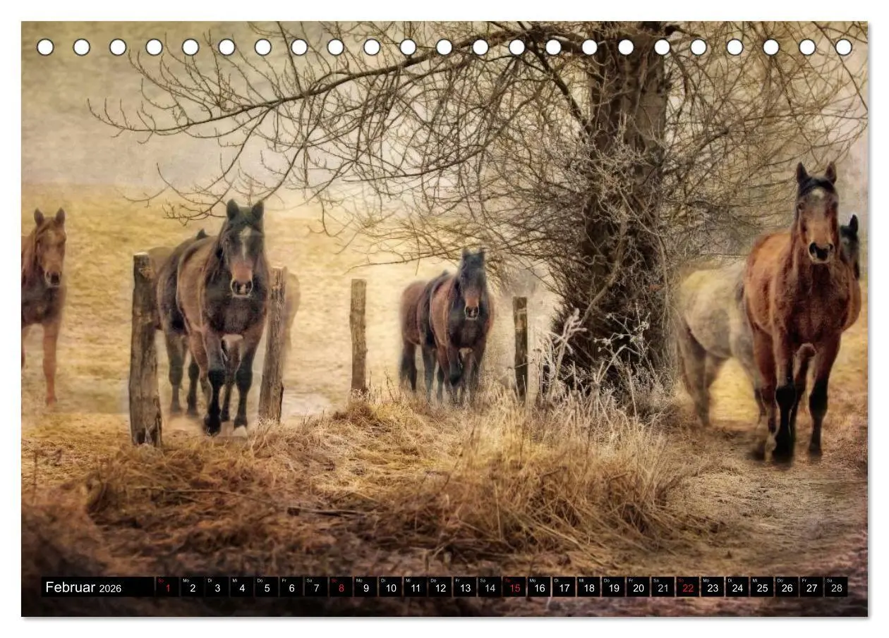 Bild: 9783457963685 | Western und Pferde (Tischkalender 2026 DIN A5 quer), CALVENDO...
