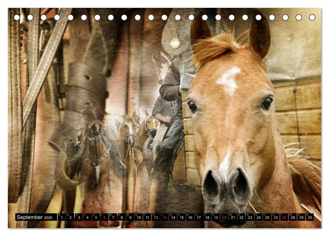 Bild: 9783457963685 | Western und Pferde (Tischkalender 2026 DIN A5 quer), CALVENDO...