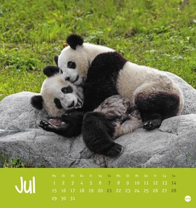 Bild: 9783840163685 | Journey to Discover | Isabella Thompson | Taschenbuch | 13 S. | Heye