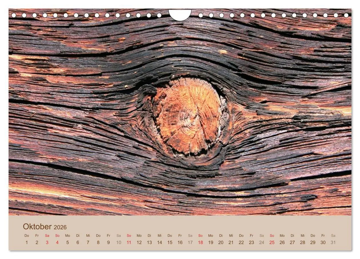 Bild: 9783457953785 | Farben des Holzes (Wandkalender 2026 DIN A4 quer), CALVENDO...