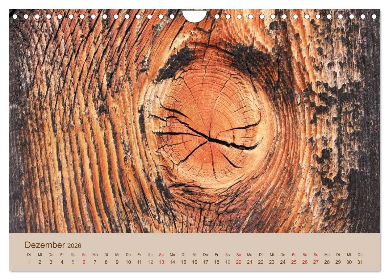 Bild: 9783457953785 | Farben des Holzes (Wandkalender 2026 DIN A4 quer), CALVENDO...