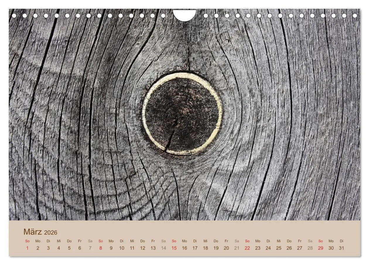 Bild: 9783457953785 | Farben des Holzes (Wandkalender 2026 DIN A4 quer), CALVENDO...