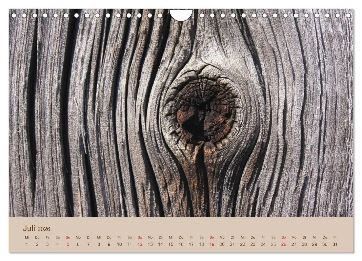 Bild: 9783457953785 | Farben des Holzes (Wandkalender 2026 DIN A4 quer), CALVENDO...
