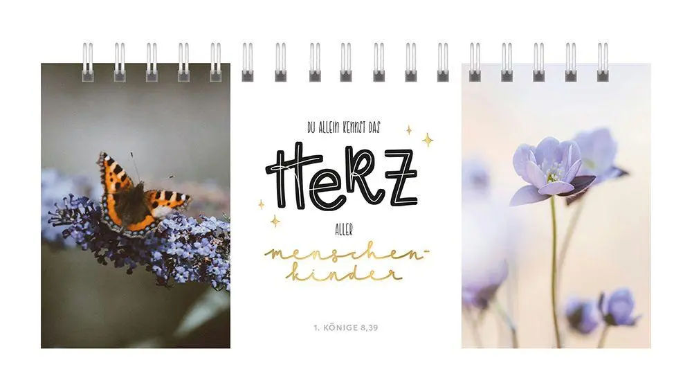 Bild: 9783765533785 | Dreifaches Himmelsglück | Annika Mengel | Taschenbuch | 26 S. | 2026