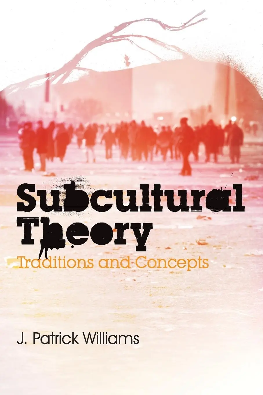 Cover: 9780745643885 | Subcultural Theory | Traditions and Concepts | J Patrick Williams