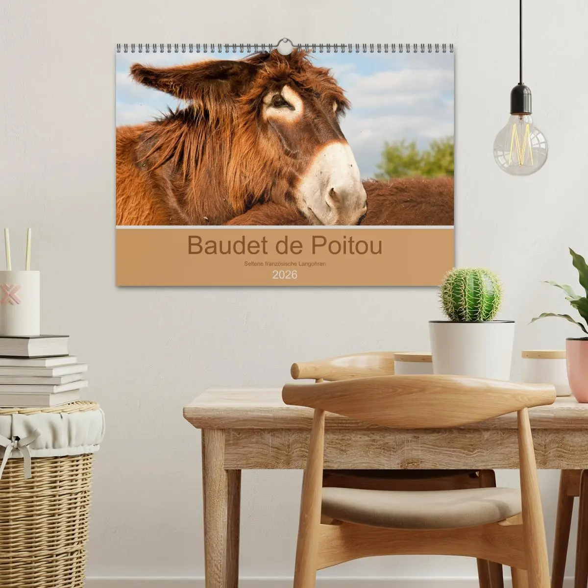Bild: 9783457873885 | Baudet de Poitou - Seltene französische Langohren (Wandkalender...