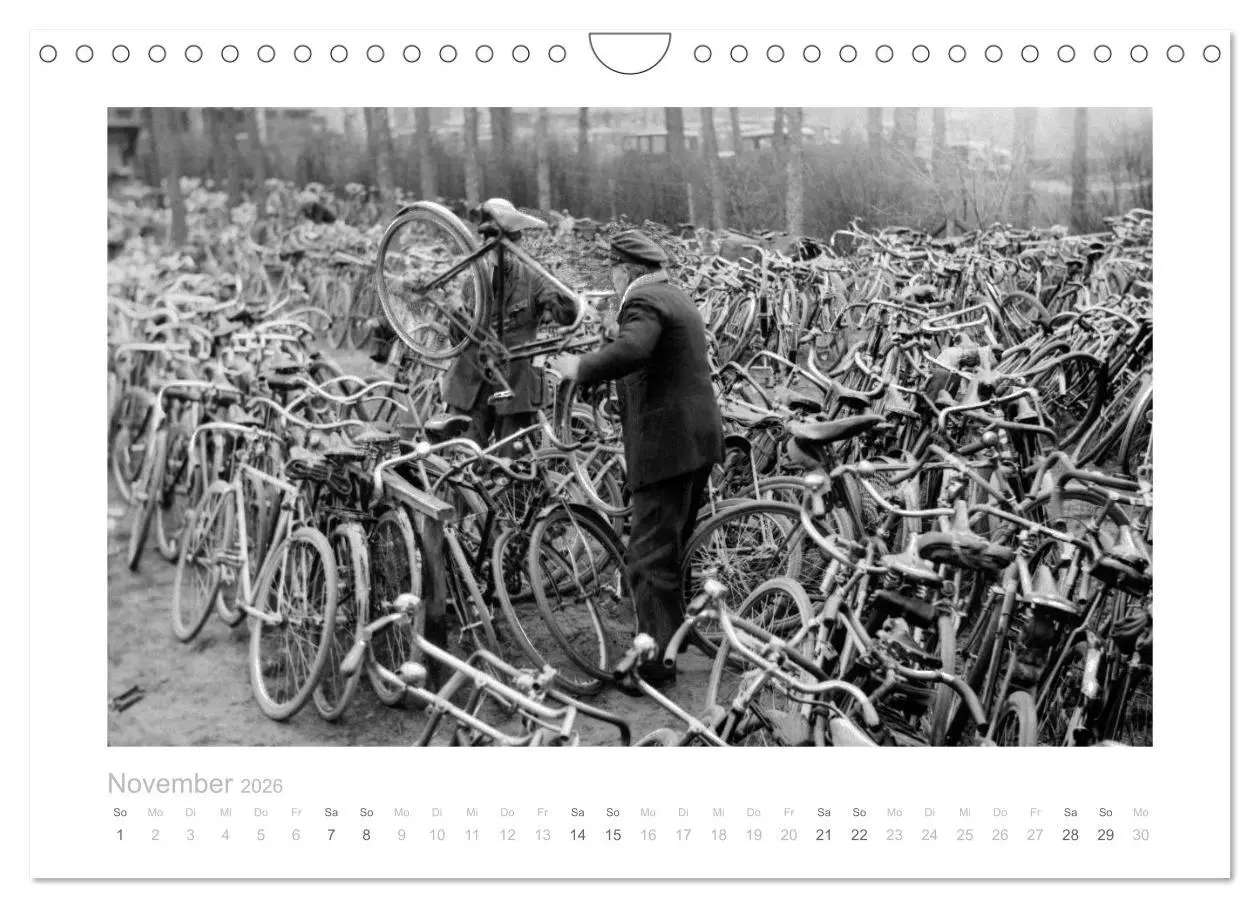 Bild: 9783516033885 | Radfahren in Berlin (Wandkalender 2026 DIN A4 quer), CALVENDO...